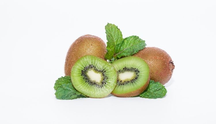 Are dogs allergic to Kiwi?