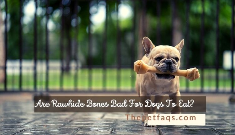 Are Rawhide Bones Bad For Dogs To Eat?
