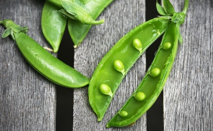 Are Snap Peas Good For Dogs?