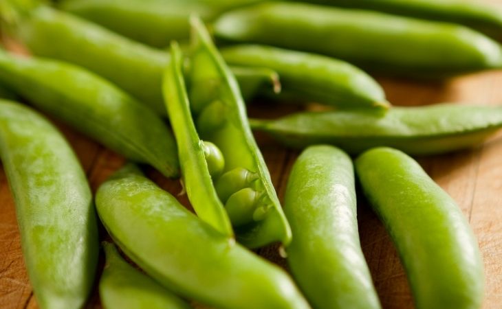 Are Snap Peas Good For Dogs?